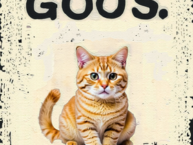 20240623113022_6244.png